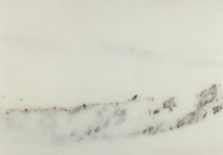 Biancospino
