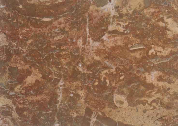Breccia Dorada